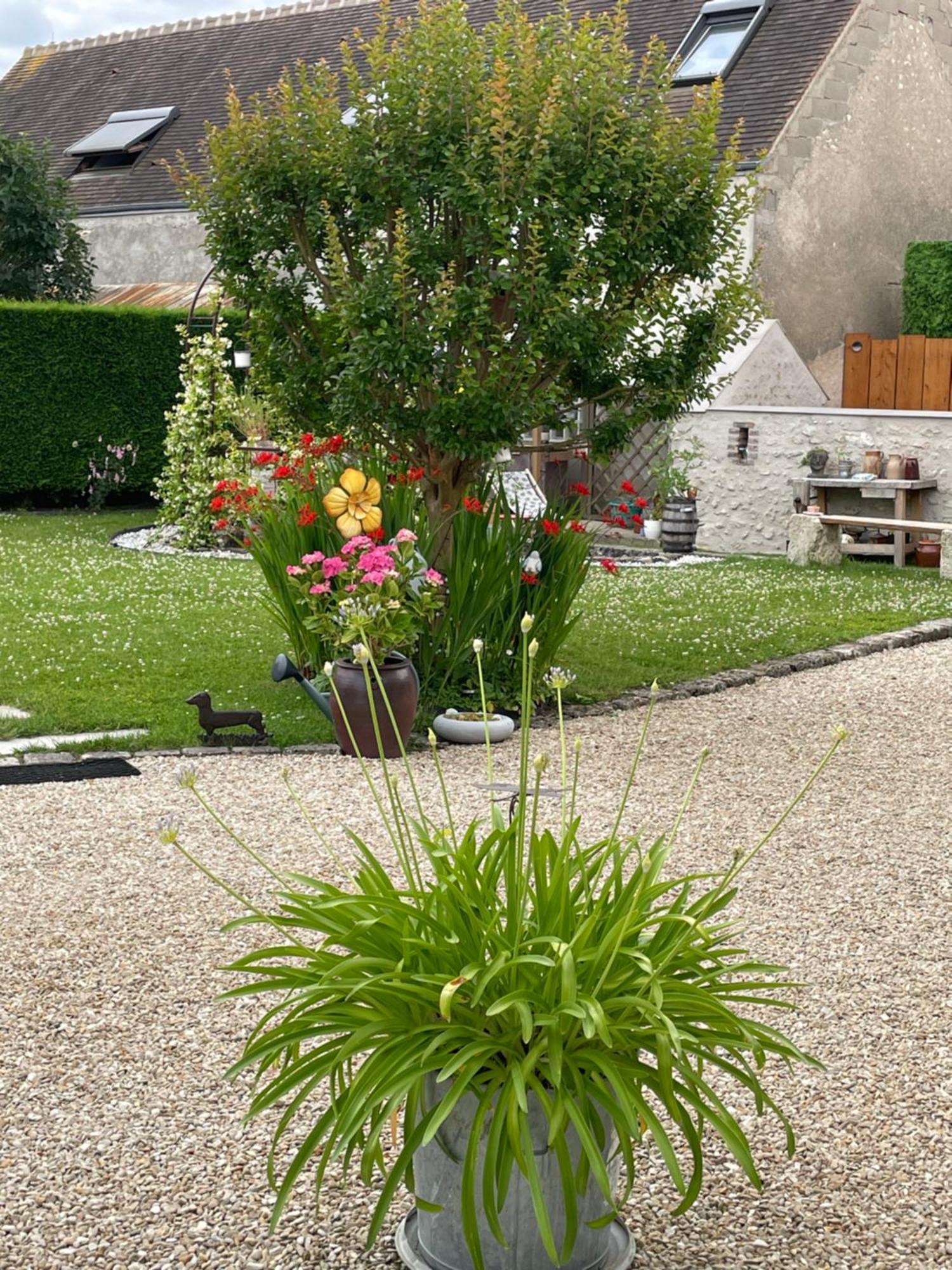 Le Clos Du Q'Hatre Clery-Saint-Andre Luaran gambar